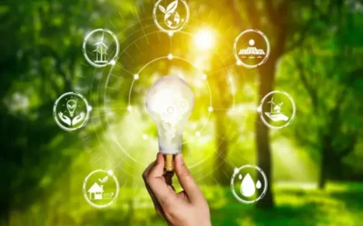 Como o software de gestão ajuda na conformidade ambiental em oficinas